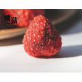 Bulk vacuum packed freeze dried strawberry powder for bakery or ice creams